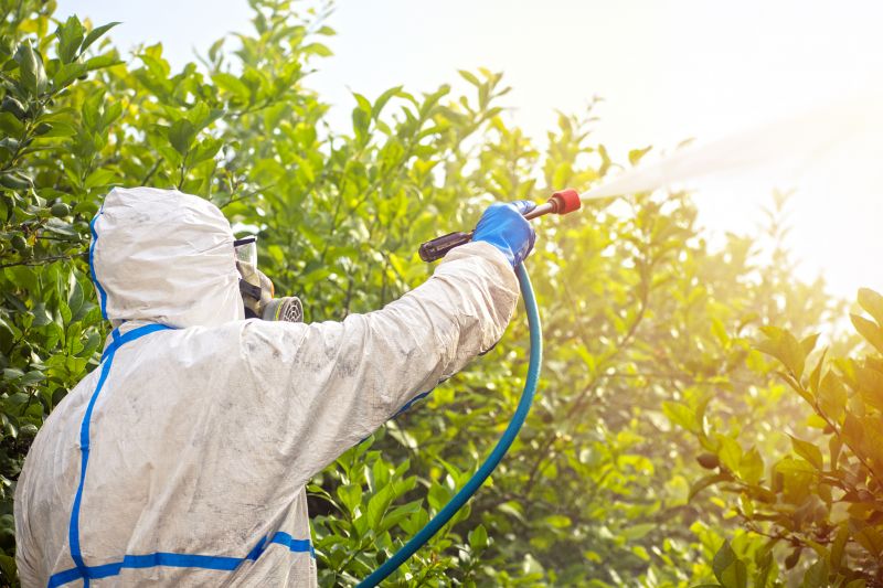 Fumigation Service in Bellingham, WA