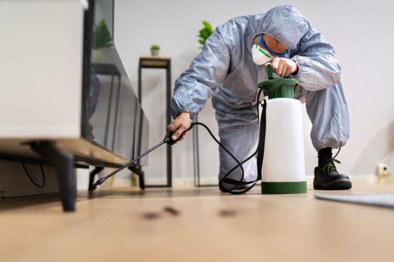Rat Fumigation Service in Woodbridge, VA