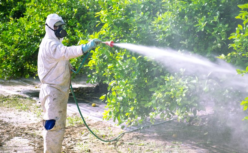 Fumigation Service