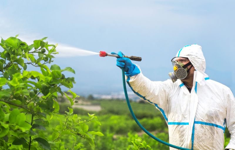 Fumigation Service detail